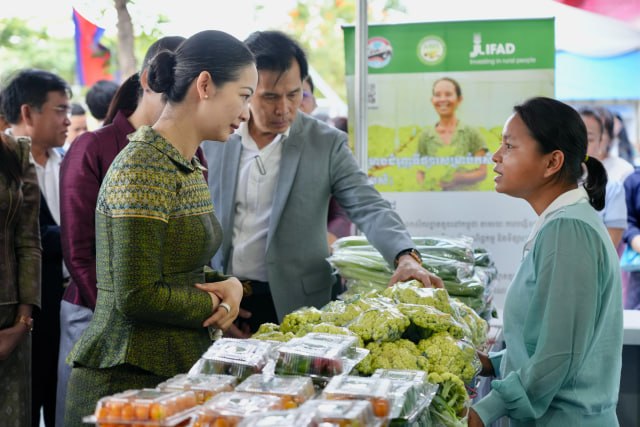 Cambodia’s Ministry of Commerce Is Directing the IFAD Program. That Distinction Matters Before 2029.